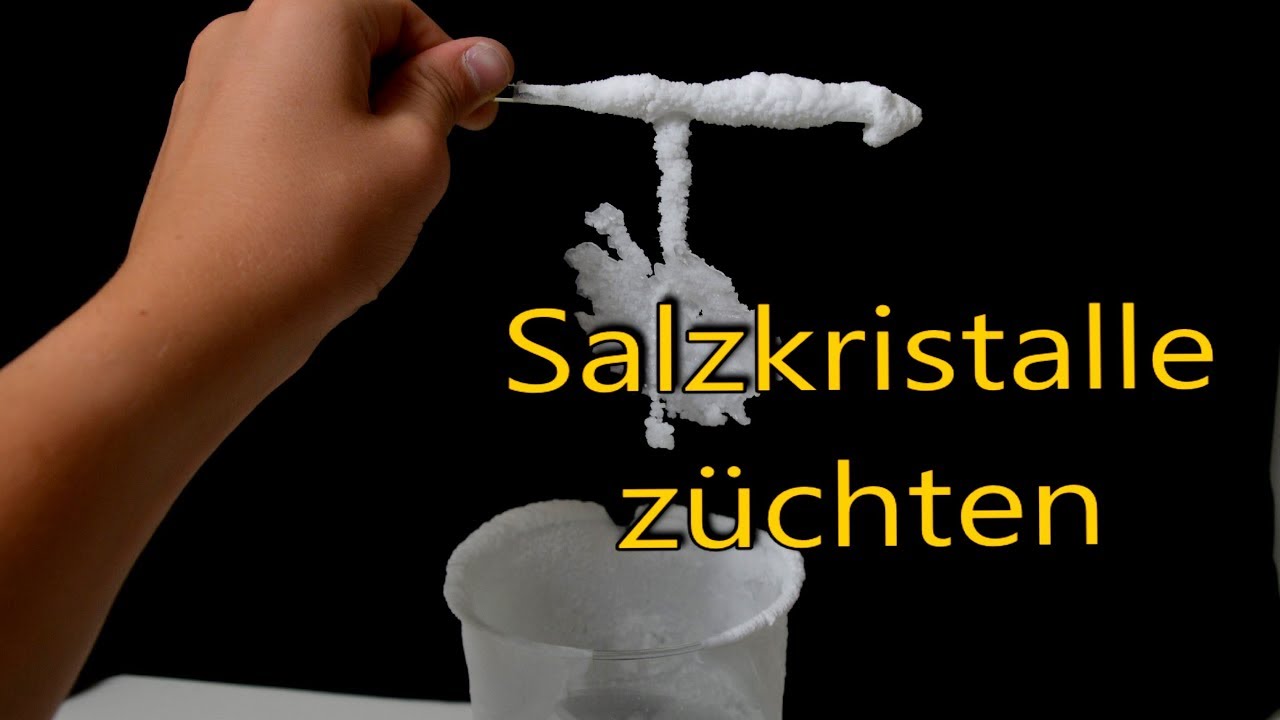 Salzkristalle zuhause selber züchten
