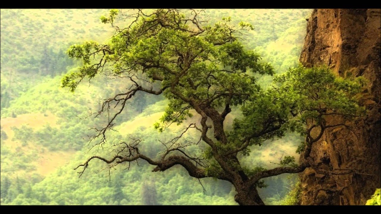 Sounds Adventures - Magnifcient Journey