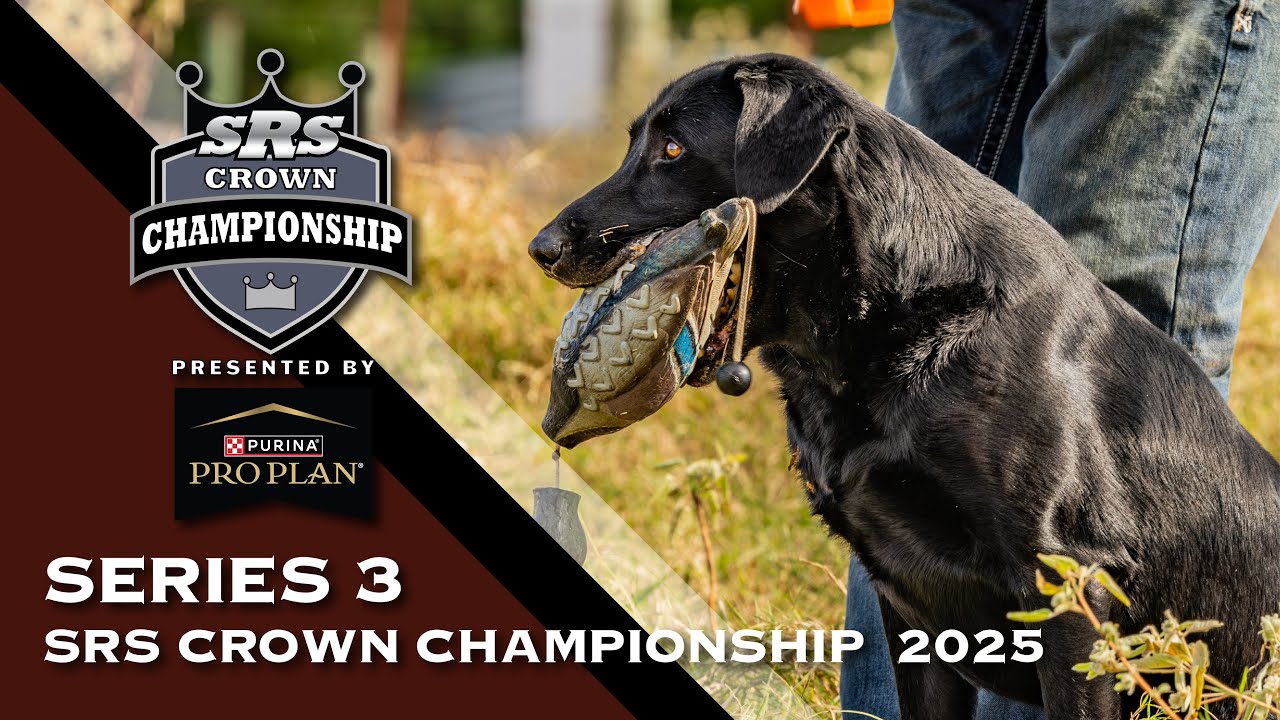 2025 SUPER RETRIEVER SERIES CROWN CHAMPIONSHIP - SERIES 3