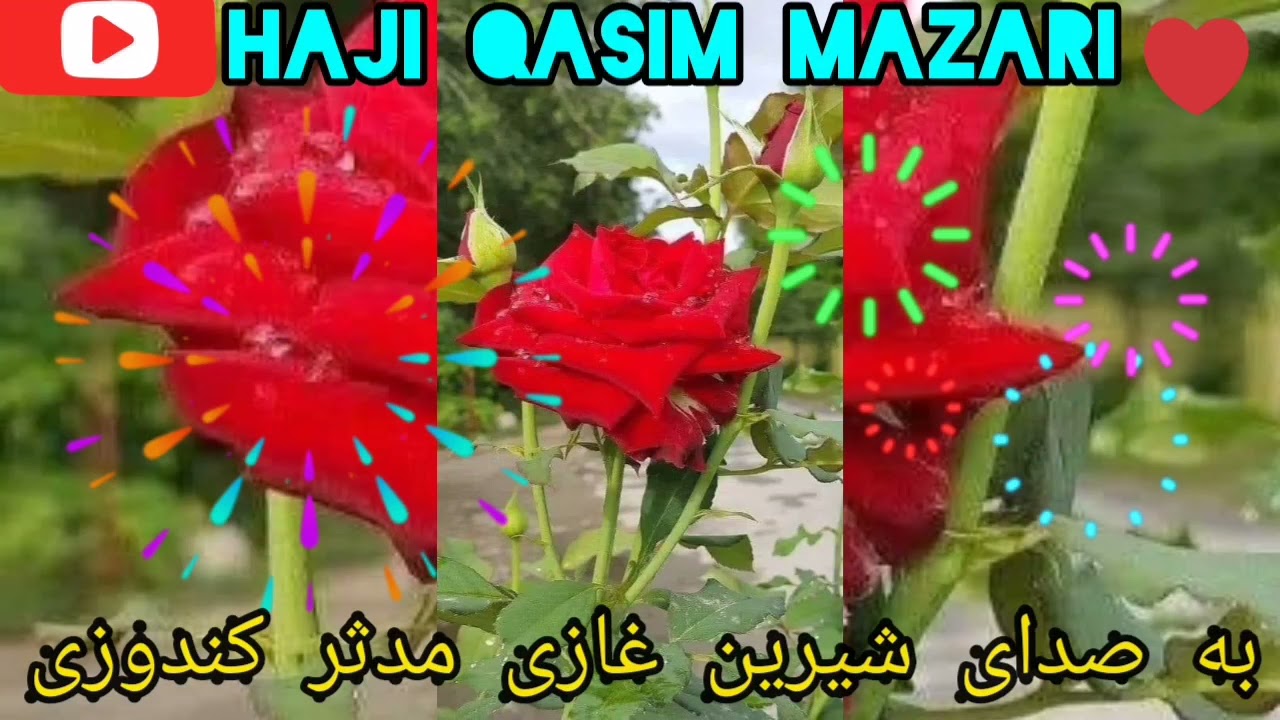 به وصف عروسی به صدای شیرین مولانا غازی مدثر کندوزی Ba. wasbi. Arusi. Mibashad.