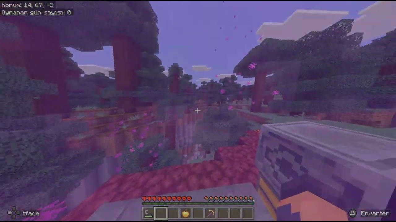 Minecraft_20260117152340