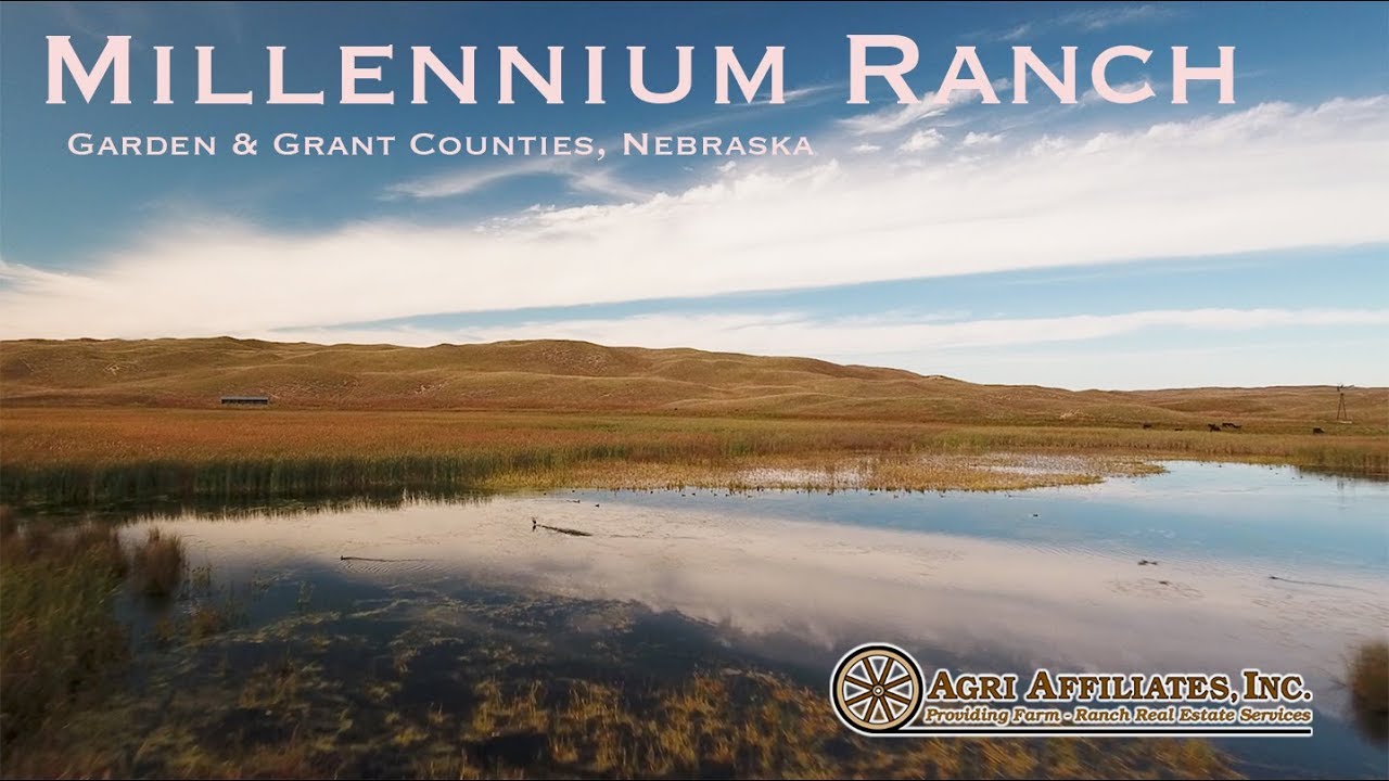 Millennium Ranch - Agri Affiliates