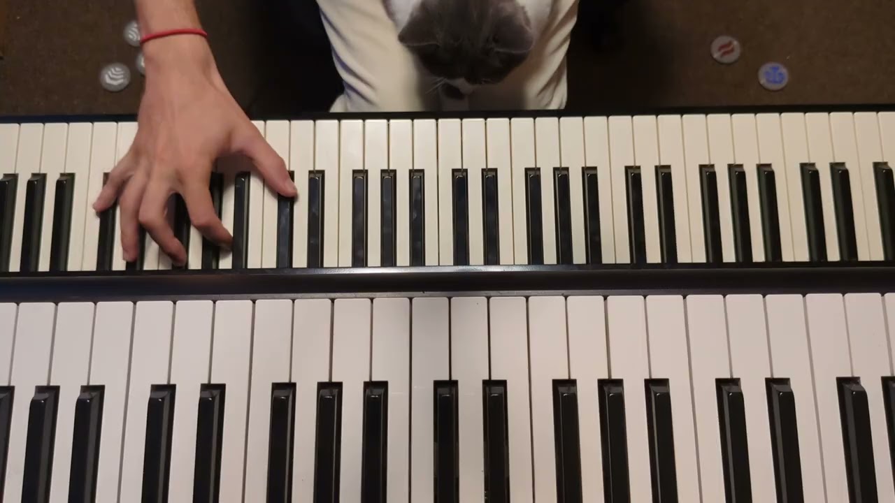 All At Once - Cat + Piano