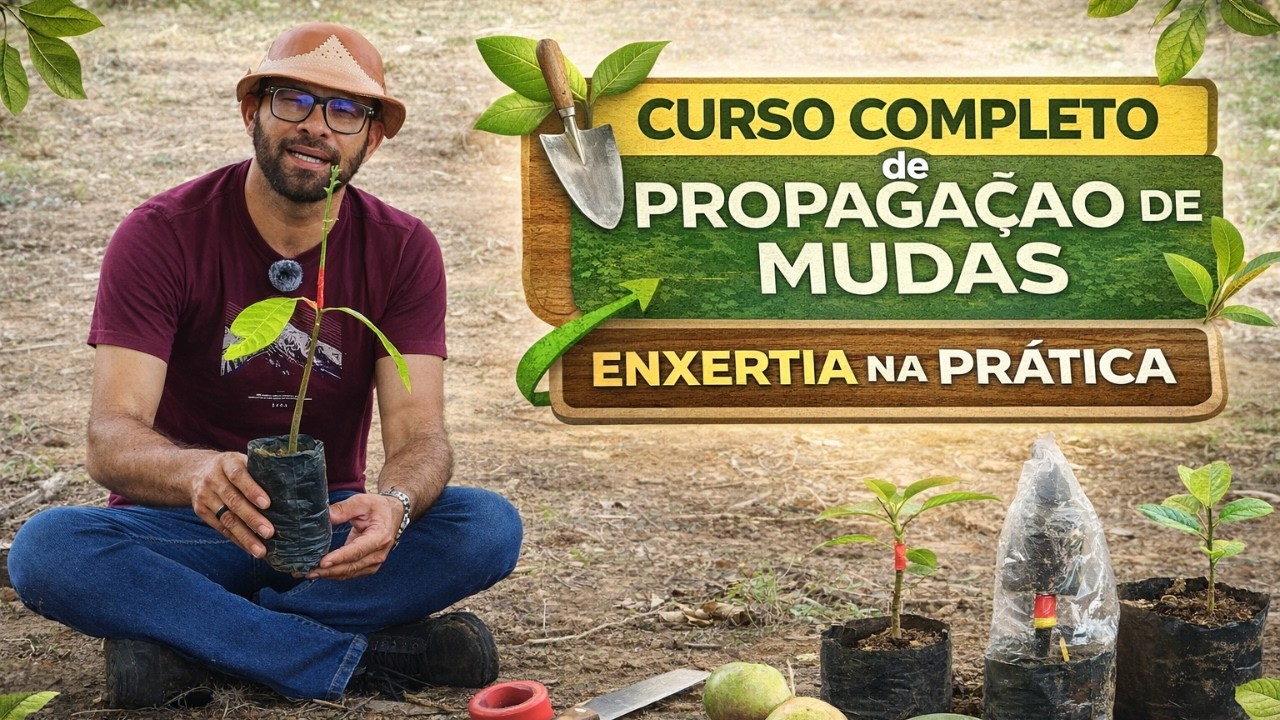 Curso Completo de Propagação de Mudas - Enxertia na Prática