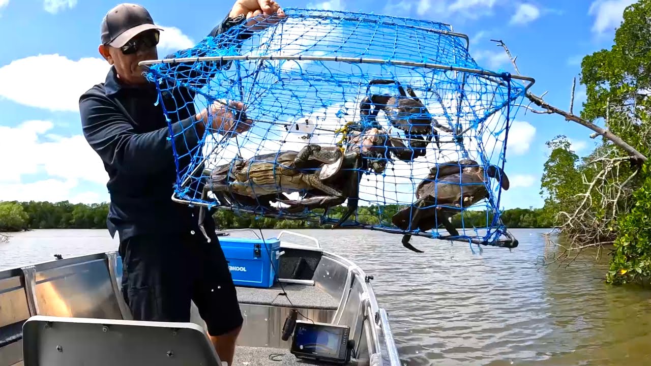 BIG CRABS (Catch and Cook) - Set CRAB POTS