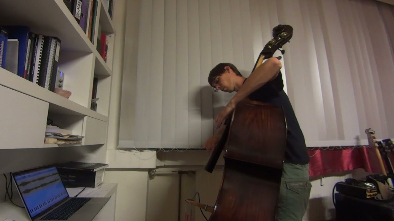 Shine On You Crazy Diamond (Parts I-III) Double Bass Cover