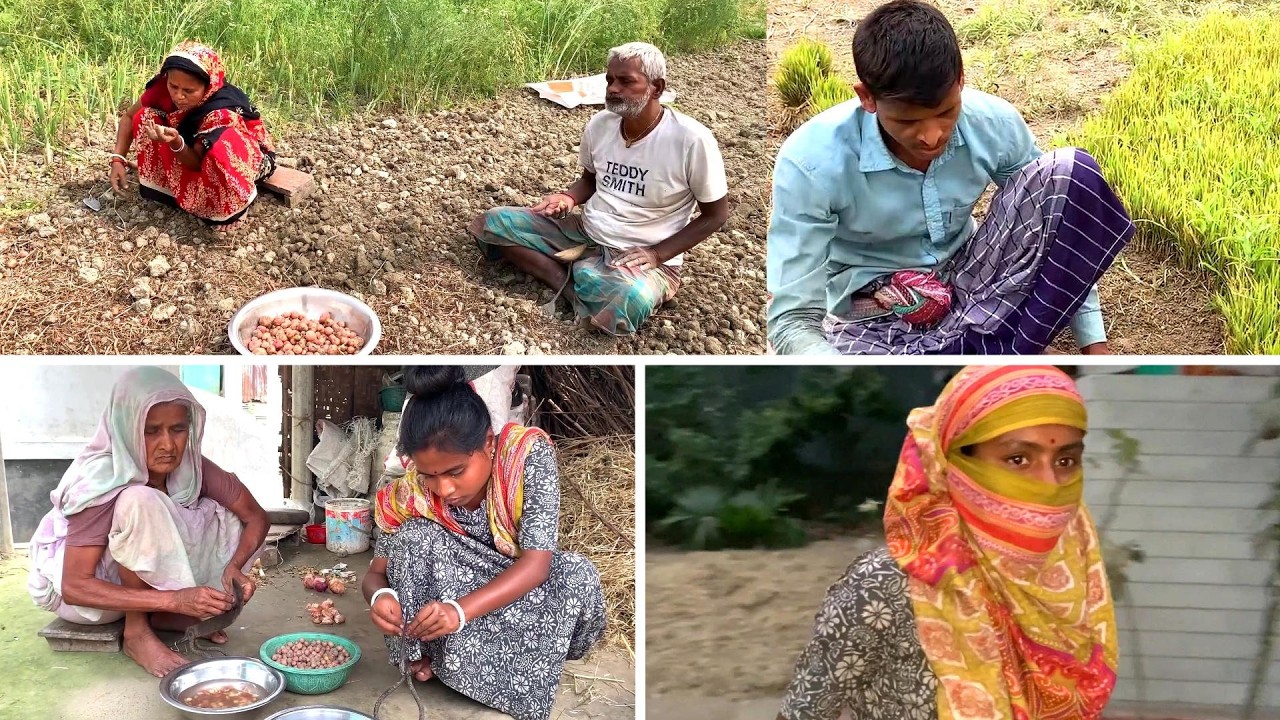 পরিবারের সবাই একেক জন একেক কাজ নিয়ে ব্যস্ত 🤔Bangladeshi village vlog