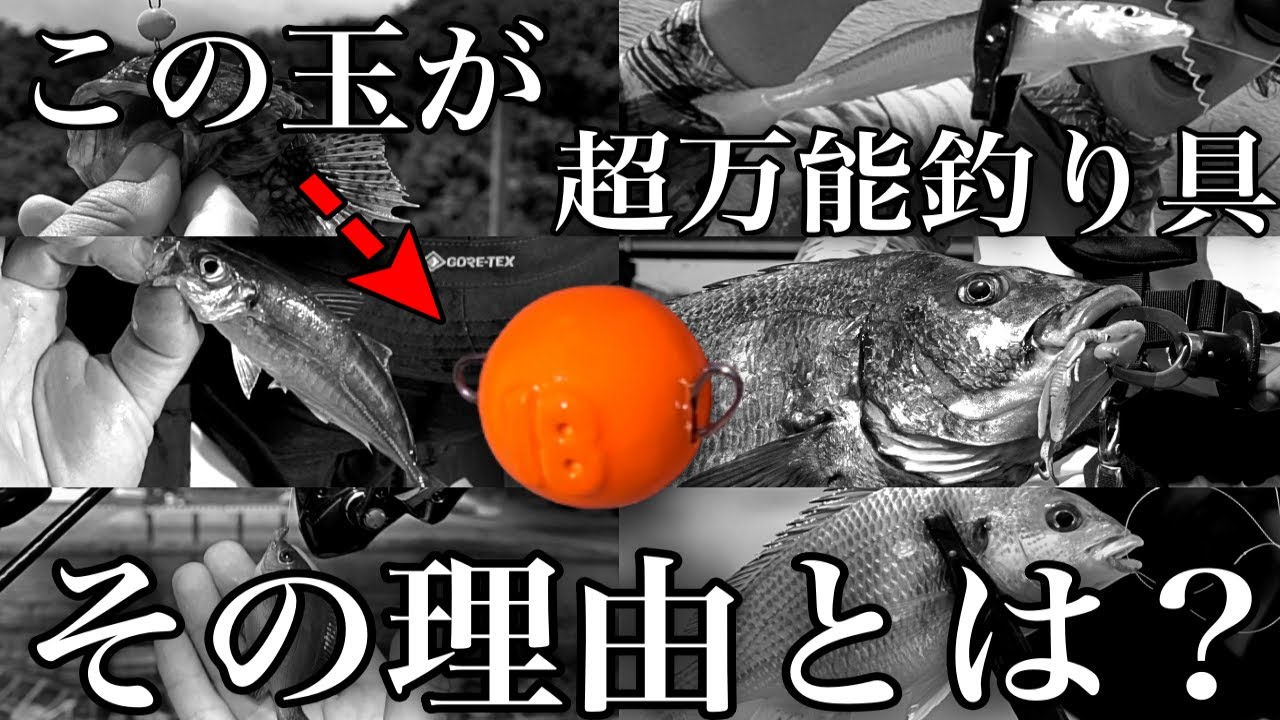 超万能釣り具があると聞いてその汎用性を試してみたら…半日で9魚種釣れる大快挙。穴釣りにちょい投げ、ライトゲームなどのルアー釣りにも大活躍でした