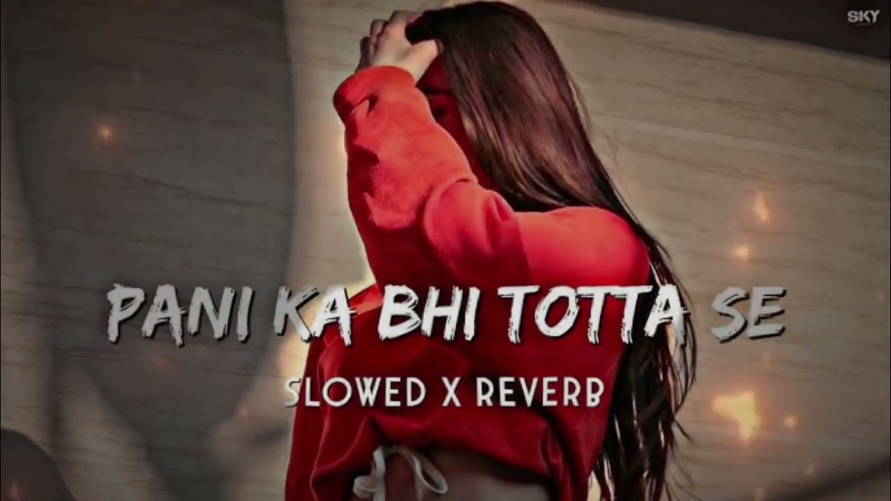 Pani ka bhi totta se (slowed x reverb) lo-fi MP3 song #lofimusic #viralsong #trending #haryanvisong 