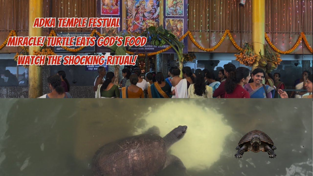 Adaka Bhagavati Temple Jathra: Divine Blessings and Nature's Harmony"