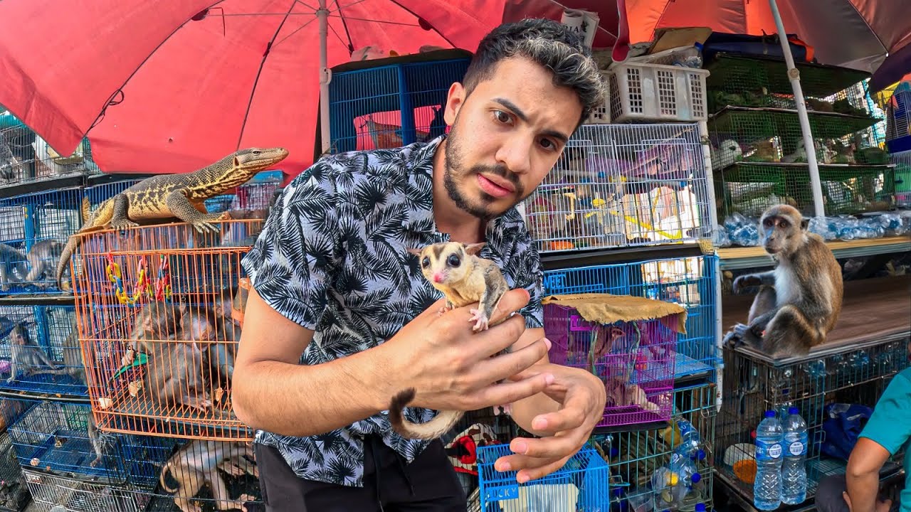 Me infiltré en el MERCADO de ANIMALES EXÓTICOS de INDONESIA 🐆🐍