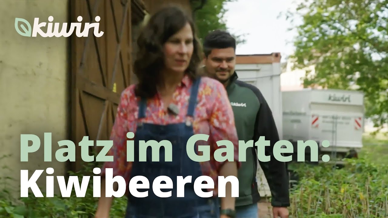Platz im Garten: Kiwibeeren | Sabine Platz (ZDF) zu Gast bei Kiwiri
