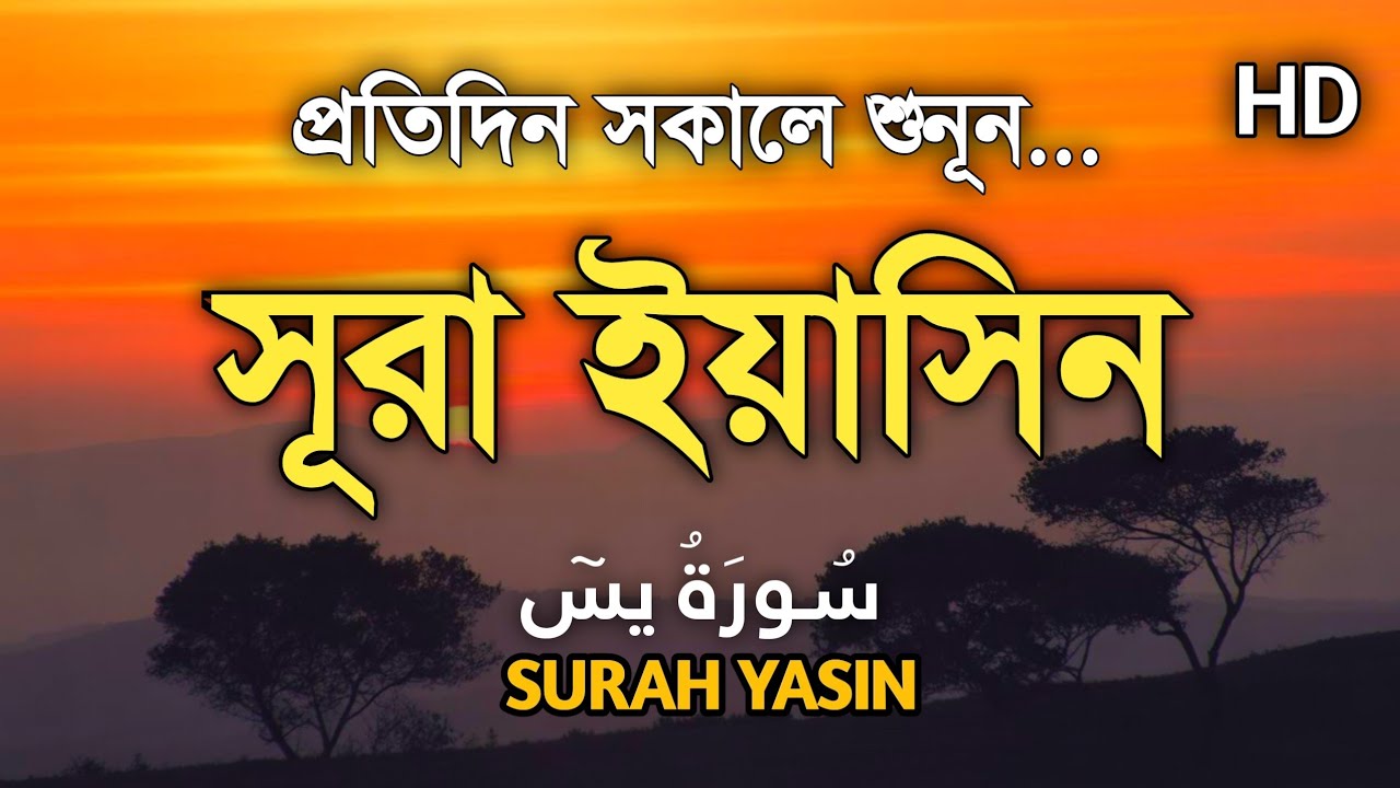 (প্রতিদিন সকালে শুনুন) আবেগময় কন্ঠে সূরা ইয়াসীন | Surah Yasin (سورة يس) By Alaa Aqel |