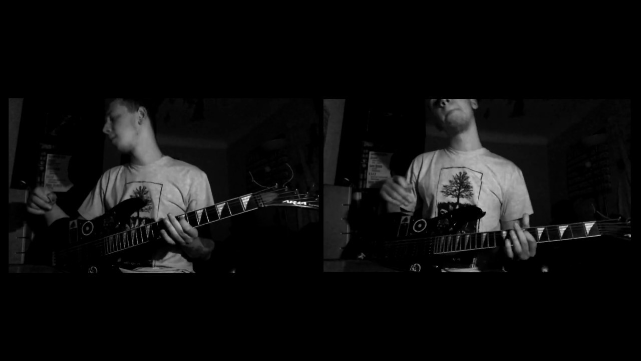 Fall Of Efrafa - The Fall Of Efrafa (Guitar Cover)