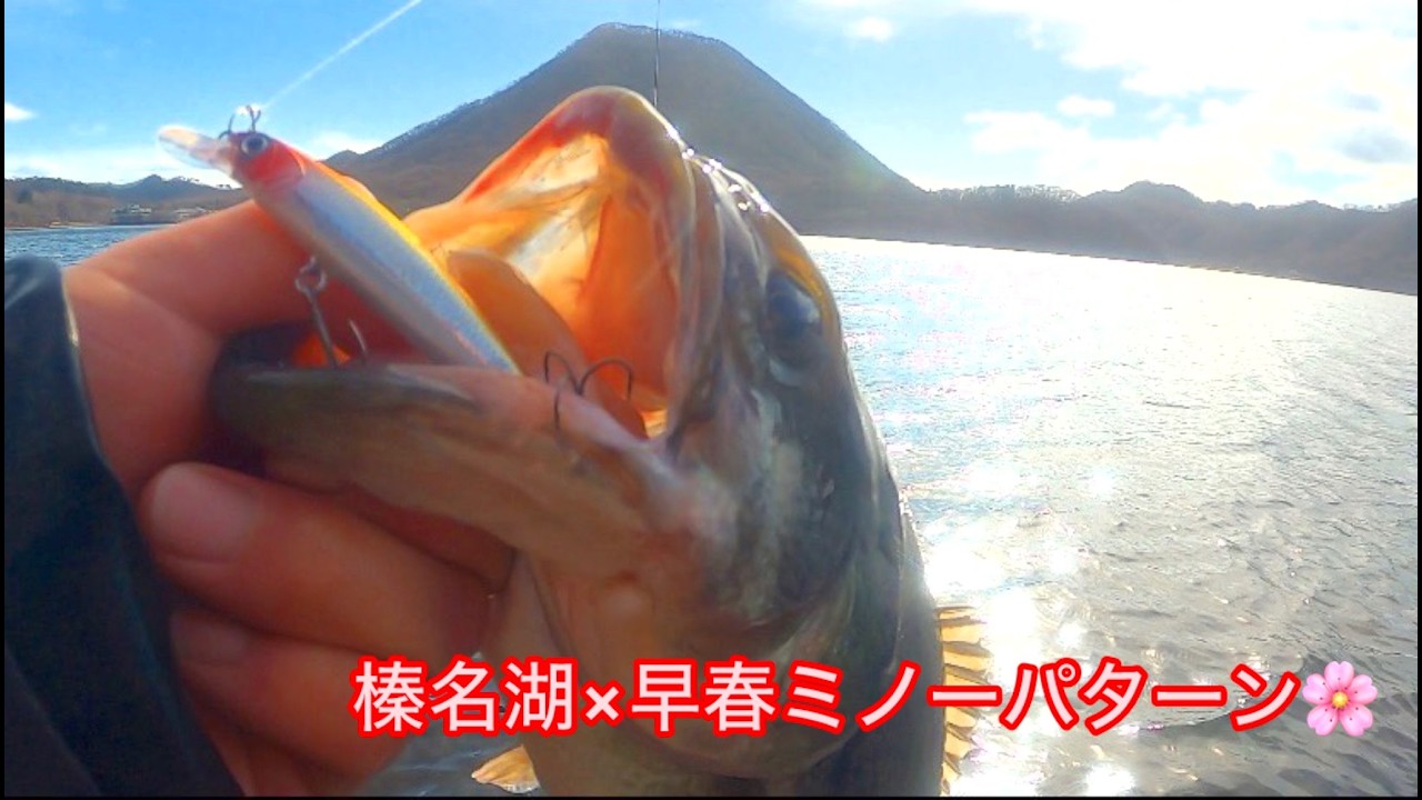 連発の早春ミノーパターン‼️榛名湖バス釣り