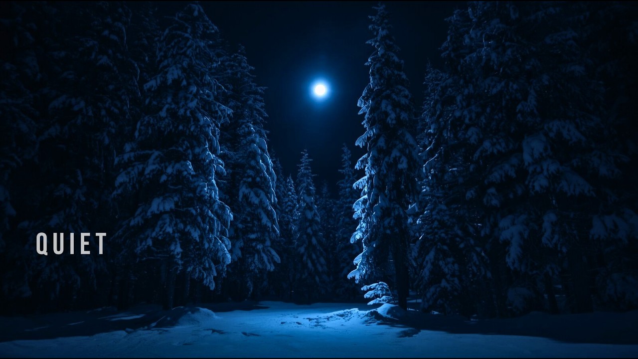 quiet the noise inside tonight | calm piano music for anxious nights.