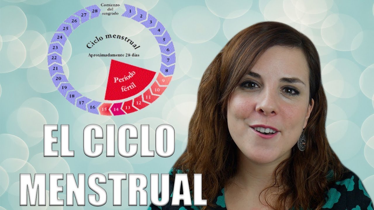 EL CICLO MENSTRUAL:  fases del ciclo, ovulaci&oacute;n y menstruaci&oacute;n