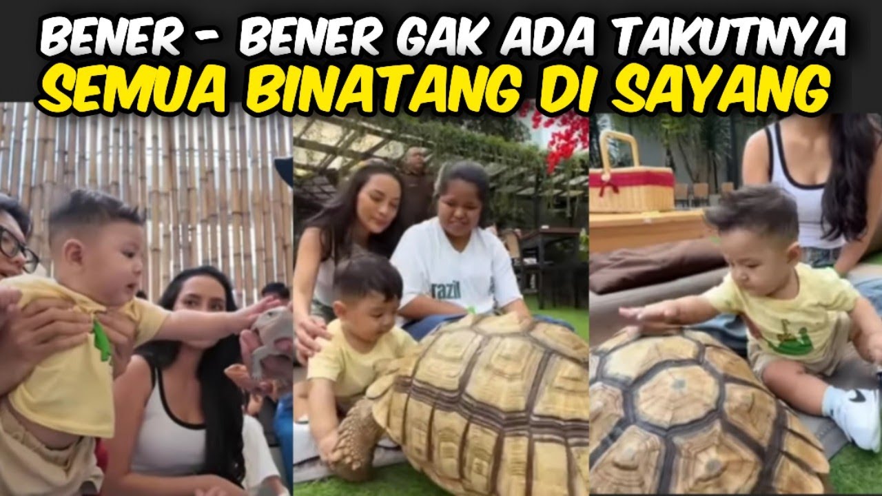 BAYI PEMBERANI ‼️GAK ADA TAKUT - TAKUTNYA ENDUW, SEMUA HEWAN DI SAYANG @WARGANETKONOHA-y3c 