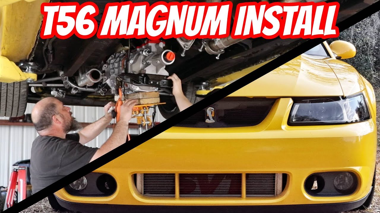 Terminator Cobra Gets a New T56 Magnum!
