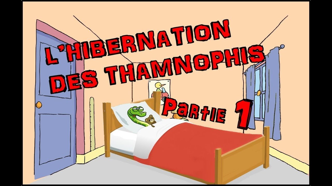L'hibernation des thamnophis / Episode 1 - Pourquoi l'hibernation ?