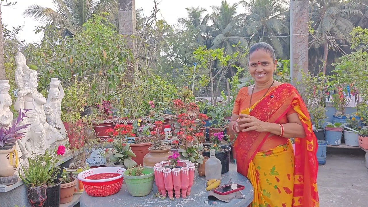 చెన్నై నుంచి చిత్రకళ  గారికి అడిగిన ప్రశ్న