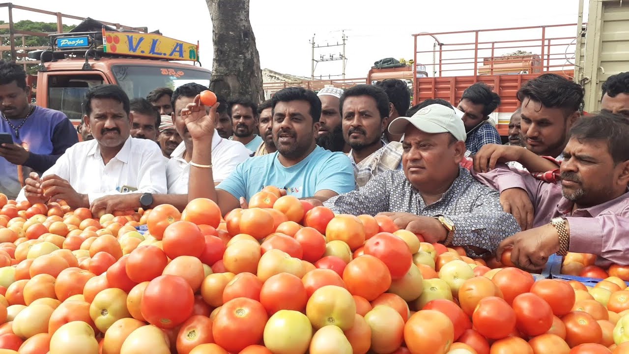 ||2022 || June, July, August.10. ||tomato rates and season full information ||Venu7tv