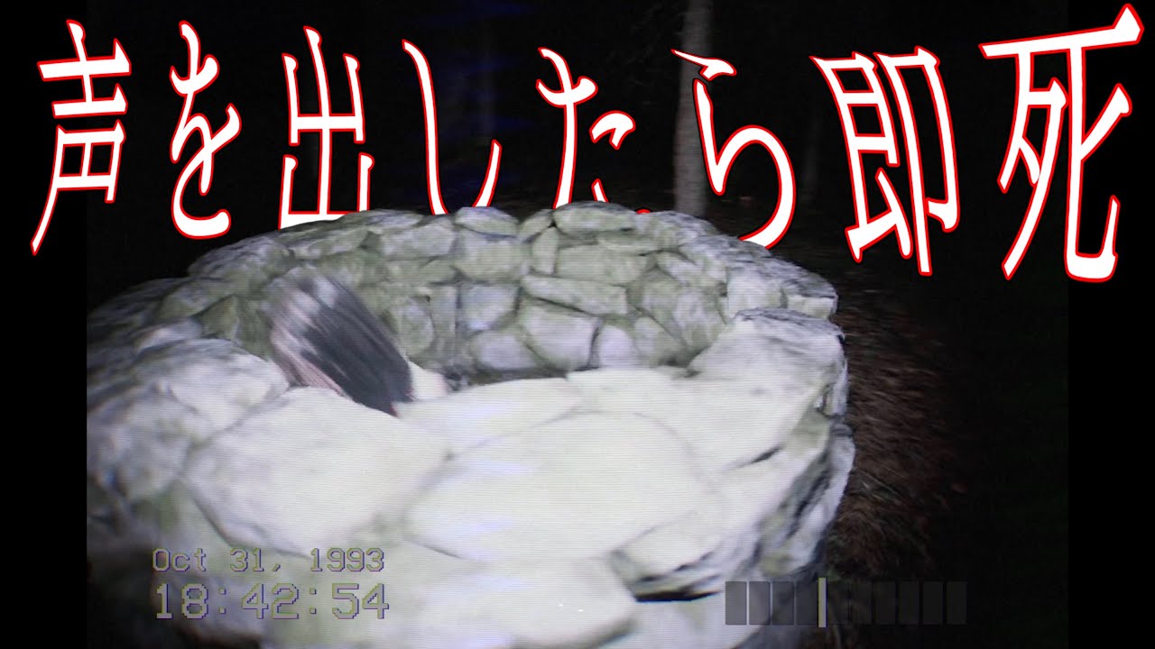 ホラー耐性ゼロ友達とプレイする叫んだら即死ホラゲー【Don’t Scream】