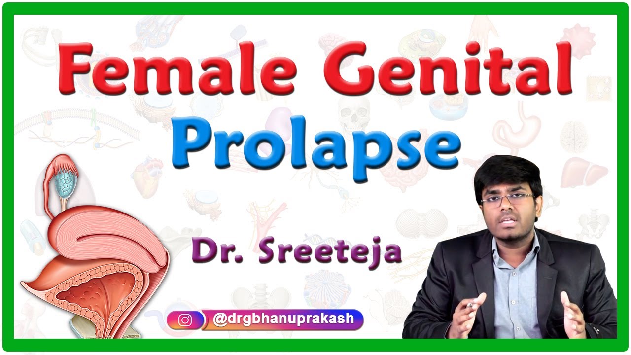 𝐅𝐞𝐦𝐚𝐥𝐞 𝐆𝐞𝐧𝐢𝐭𝐚𝐥 𝐏𝐫𝐨𝐥𝐚𝐩𝐬𝐞 ( 𝐏𝐞𝐥𝐯𝐢𝐜 𝐨𝐫𝐠𝐚𝐧 𝐩𝐫𝐨𝐥𝐚𝐩𝐬𝐞 ) || 𝐎𝐛𝐬𝐭𝐞𝐭𝐫𝐢𝐜𝐬 𝐀𝐧𝐝 𝐆𝐲𝐧𝐚𝐞𝐜𝐨𝐥𝐨𝐠𝐲