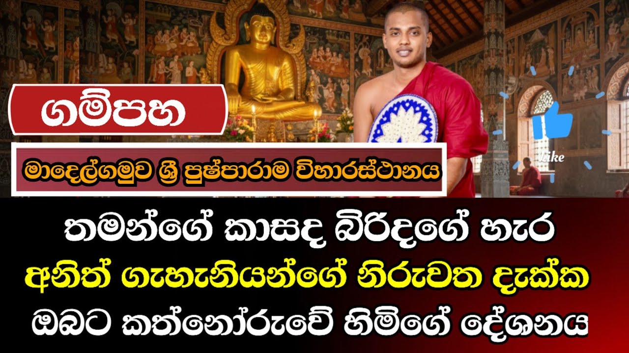 මම හදපු ගෙදර මගේම බිරිද වෙන පිරිමියෙක් එක්ක | කන්නෝරුවේ සිරිධම්ම හිමි | DharmalokaYT | ධර්මාලෝක 