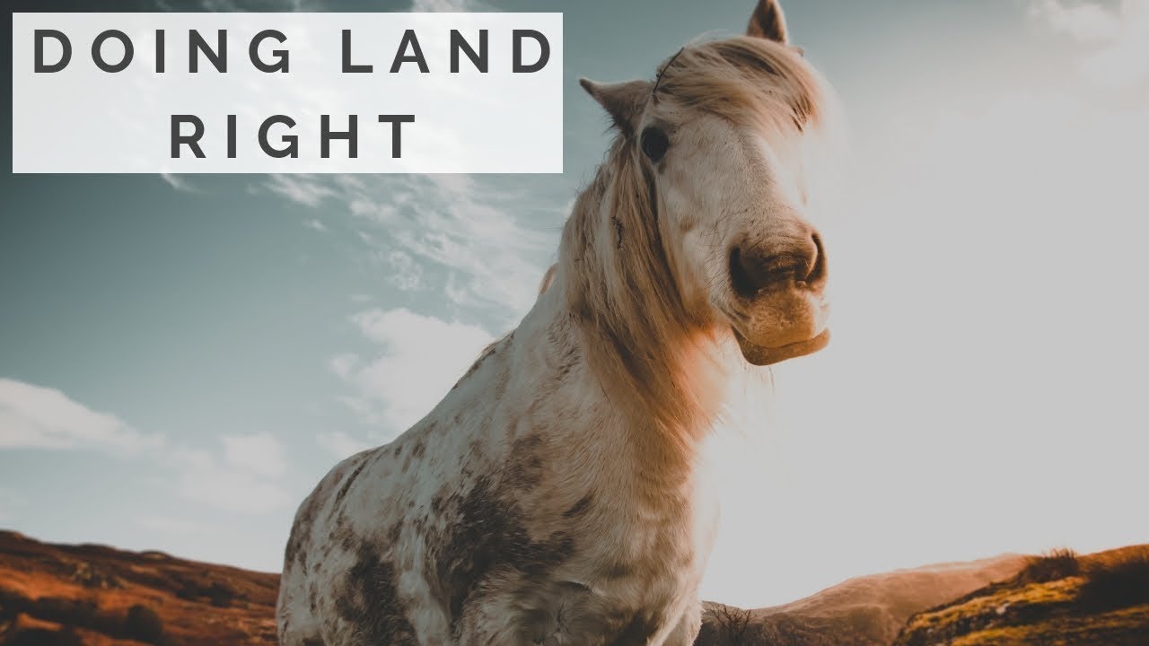 Free Land Giveaway, Talking Great Land Deals