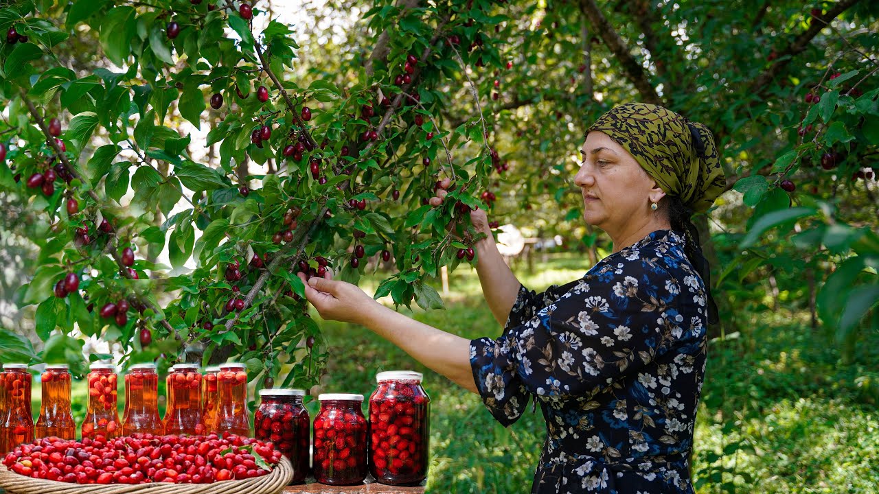Готовим варенье и сок из урожая кизила в деревне! - Зимние приготовления крестьянки.