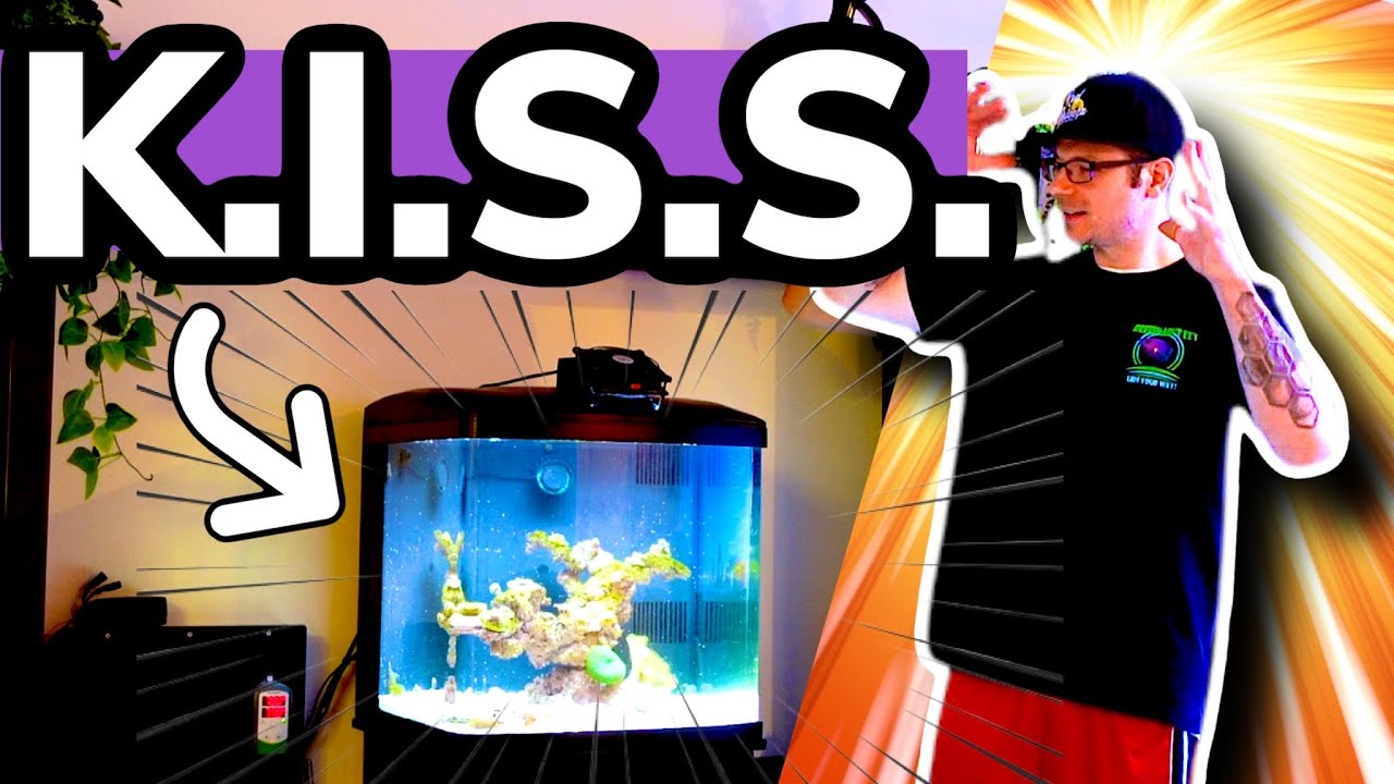 Reef Tank Success on Minimal Filtration - K.I.S.S. BioCube 32g Reefing For Beginners Series-Filters