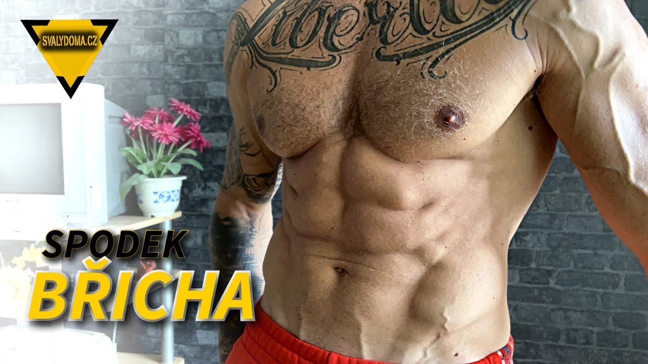 #239 | SPODEK BŘICHA - tuk je až ten druhý problém | CVIČENÍ DOMA pro začátečníky