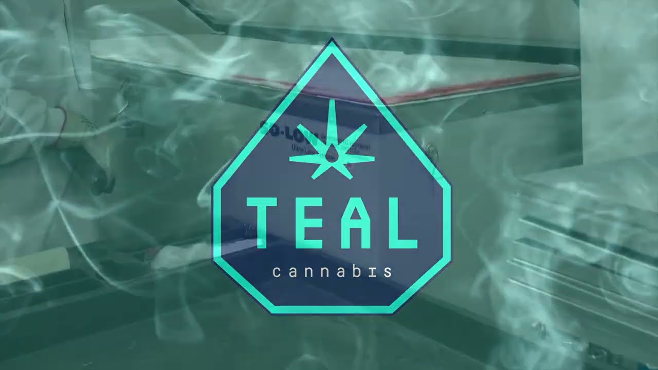 Premium Efforts. Premium Results. Teal Cannabis.