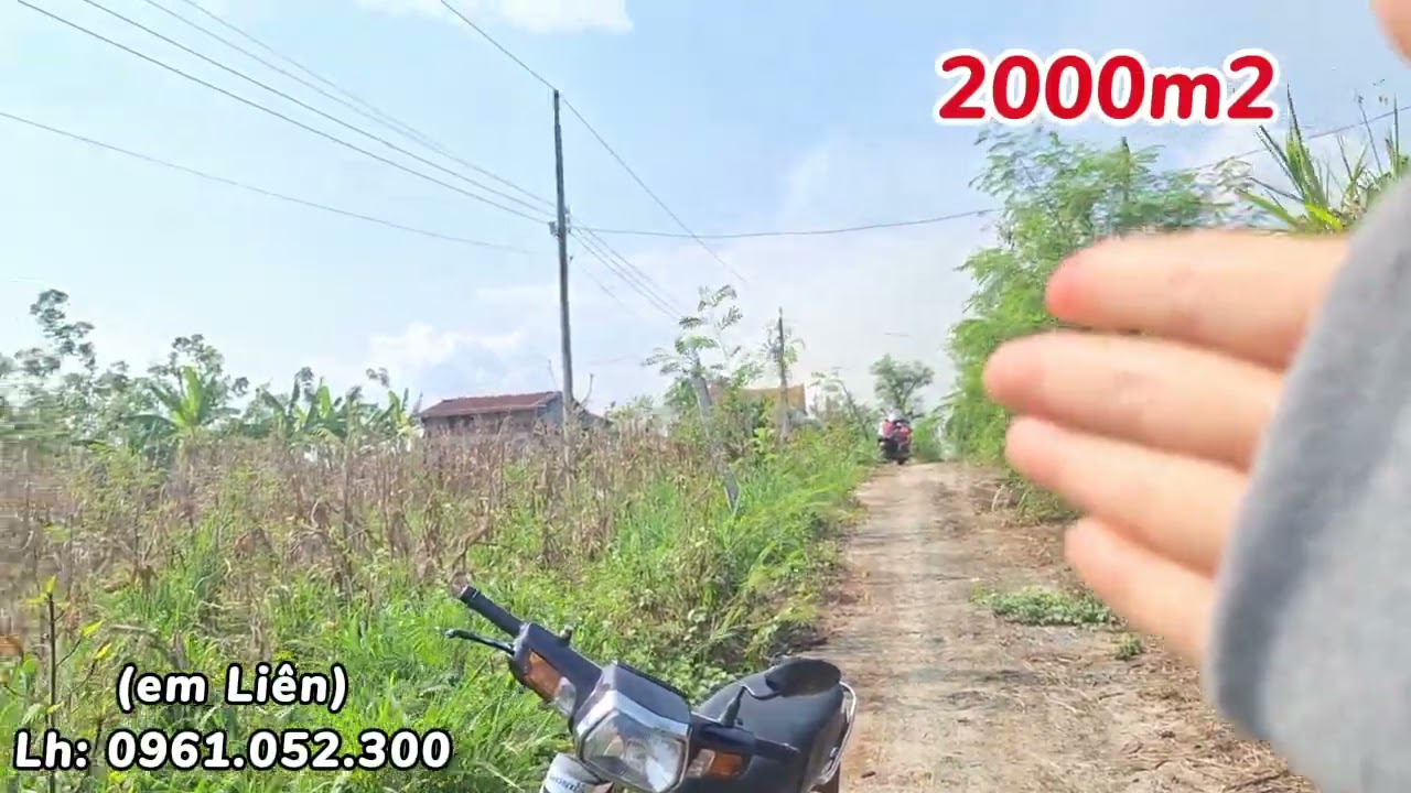 10✅️ Chủ gửi lô đất💲 gần quốc lộ (2.000m2) có tới 100m đường bê tông +gần nhà thờ lớn nhất xã 🔺️🔺️🔶️