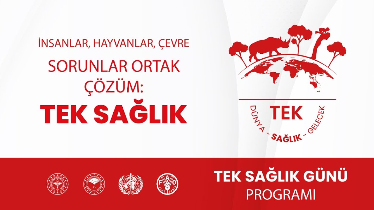 Dünya Tek Sağlık Günü Programı