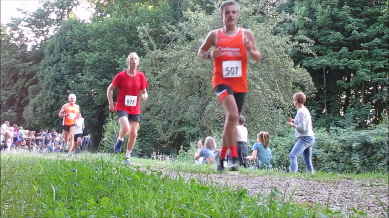 33. Schwanberglauf - Der Zieleinlauf - / Iphofen - Castell, 14.07.17
