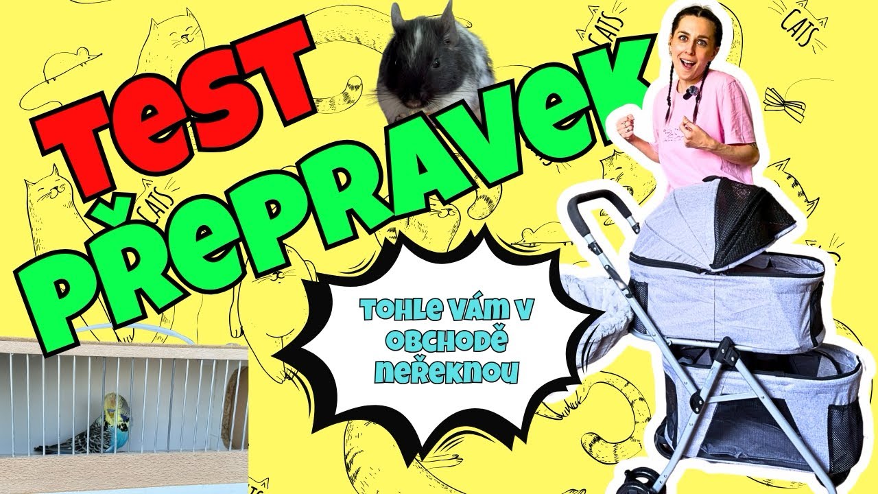 👉Jak vybrat přepravku pro kočku, morče nebo papouška 🐾 Moje zkušenosti + tipy!