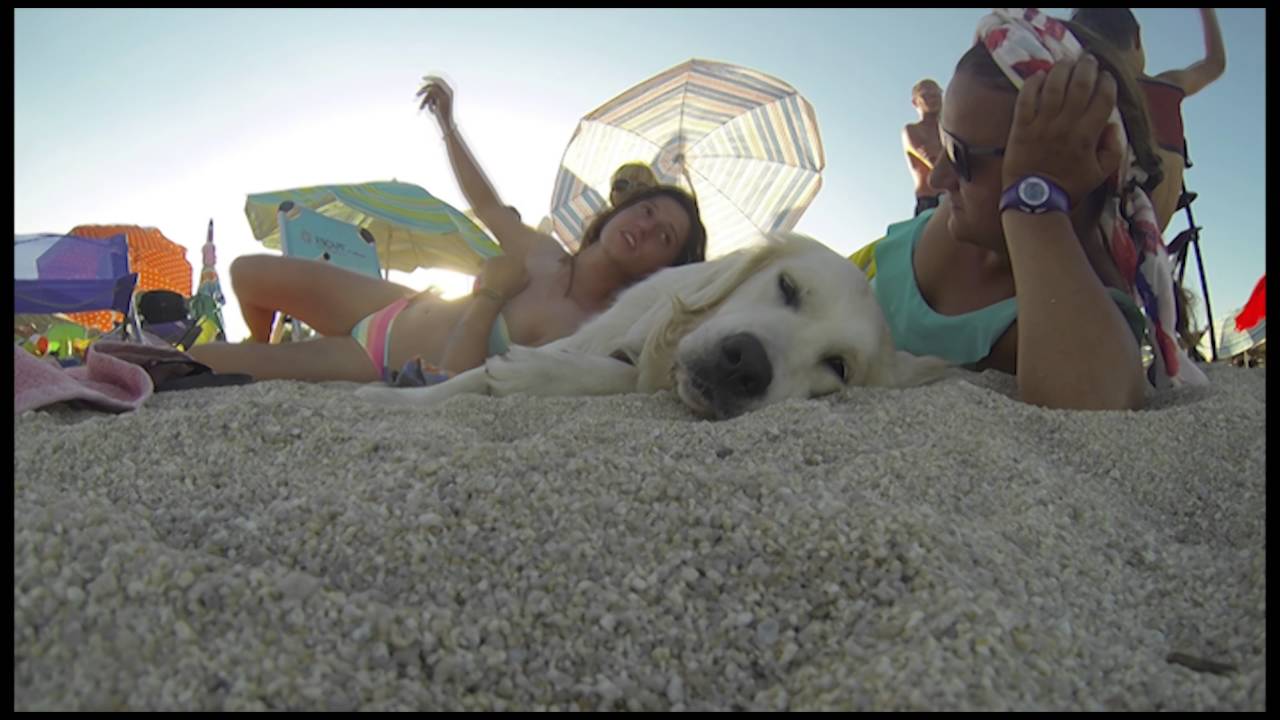 Camping diary Thalatta Camp 2016