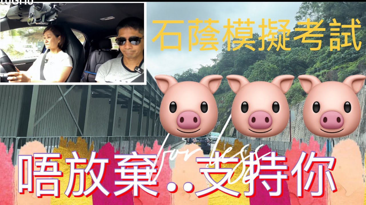 石蔭模擬考試🐷🐷🐷，唔好放棄，支持你🥰