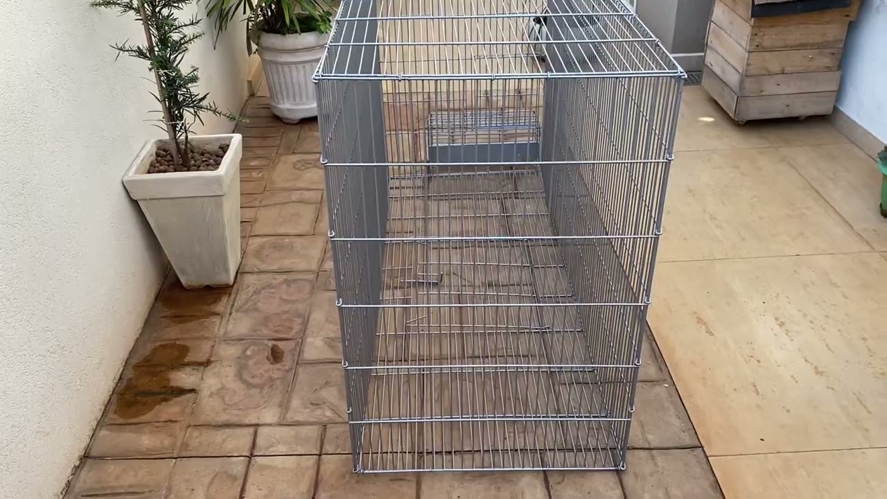 TAMANHO IDEAL DE GAIOLAS PARA AVES EXÓTICAS (RING NECK, ROSELAS E OUTROS )