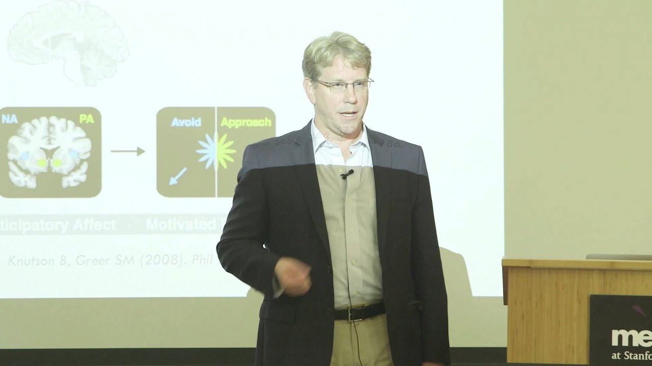 The Science of Storytelling/The Storytelling of Science - Brian Knutson