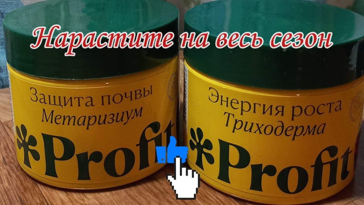 Триходерма и Метаризин. Можно нарастить на весь сезон.