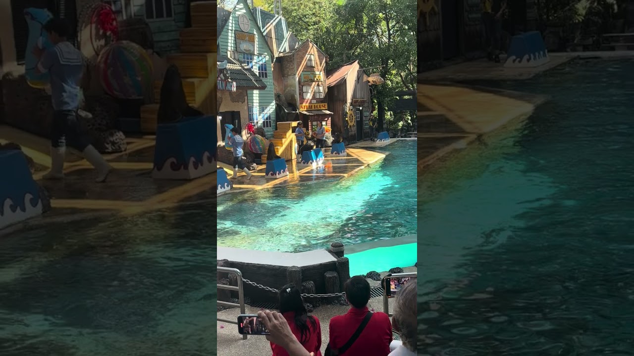 Seal Show in Thailand