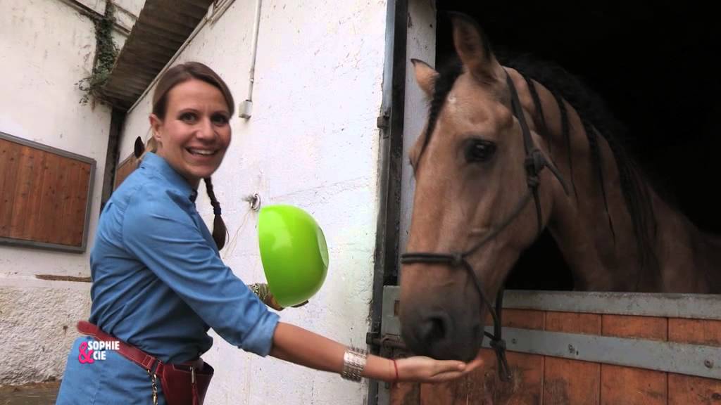 Le clicker training avec mon cheval - Equidia Life
