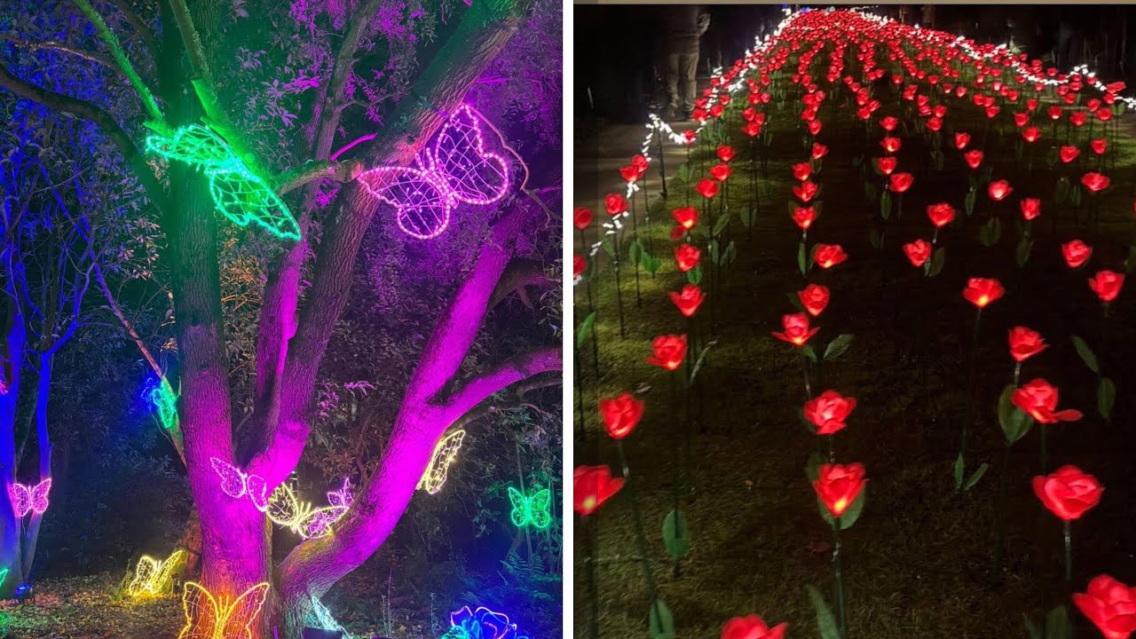 Light up Trail at Hillier Gardens | Vlog | Opening Night | 2024 | Awesome 🤩