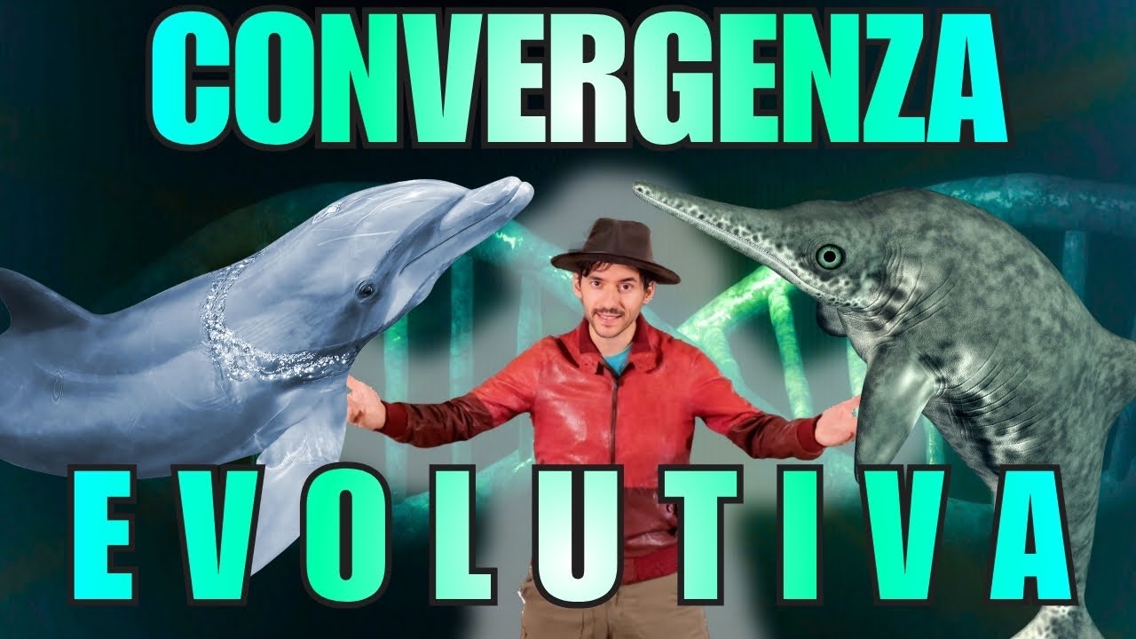 Convergenza evolutiva - il copia incolla della Natura