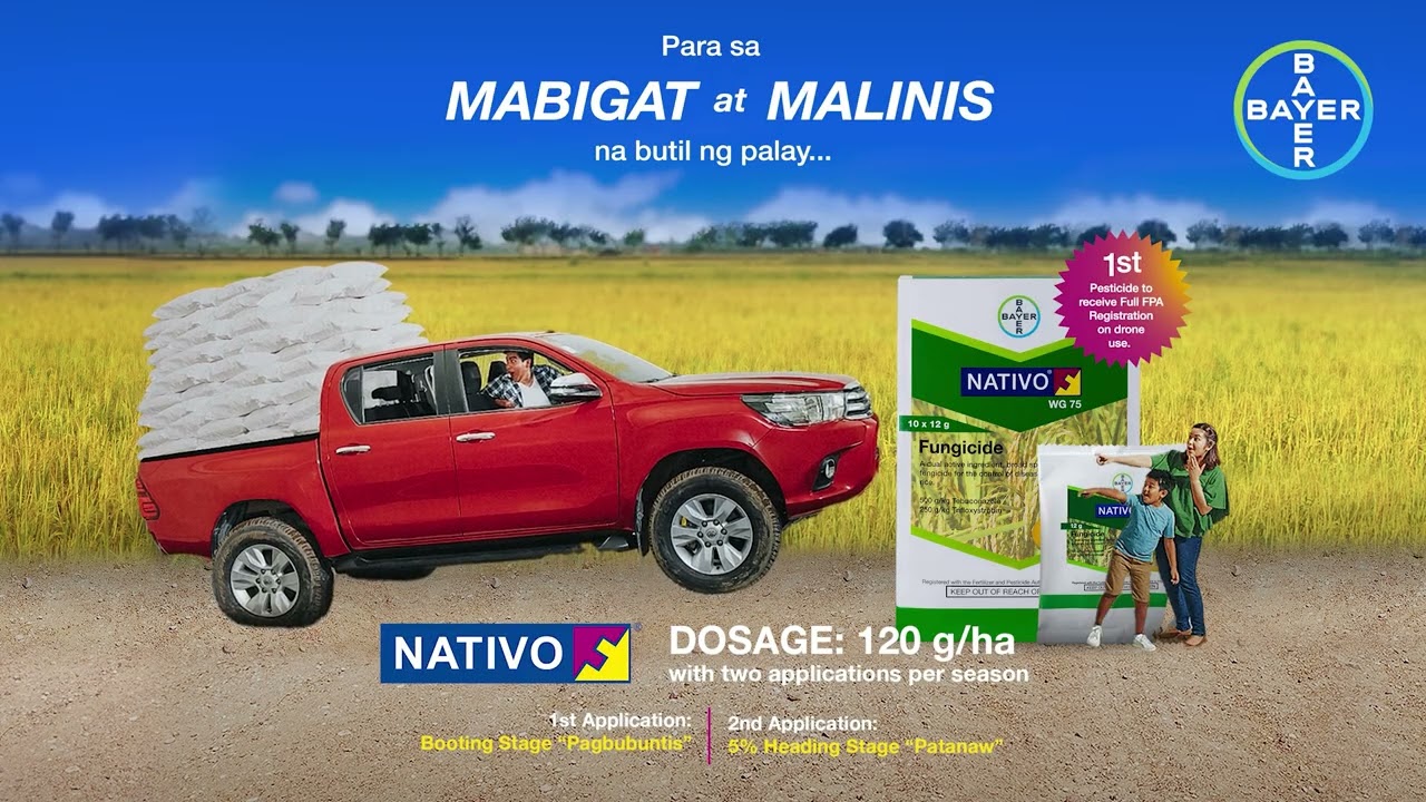 Sa Nativo®, Aasenso! Sa Nativo®, Aangat!