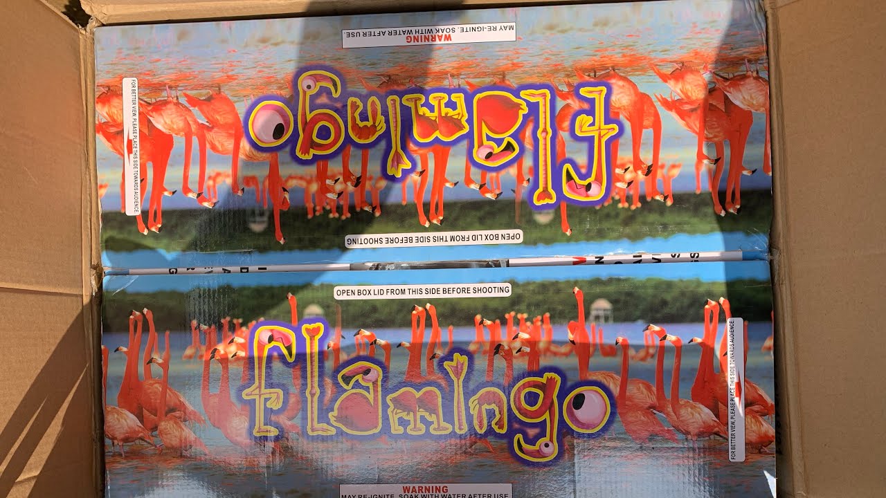 Flamingo 191 Shot 🦩