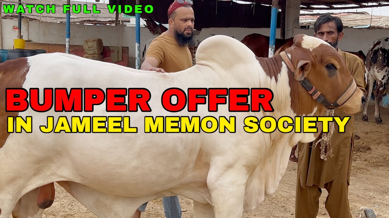 Bumper Offer In Jameel Memon Society || Good News For Subscribers || Qurbani 2026 ❤️